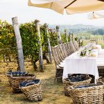 Italian Mystery Wine Box | Discover Italy's Best Wines