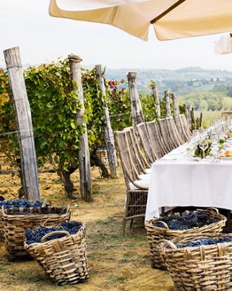 Italian Mystery Wine Box | Discover Italy's Best Wines