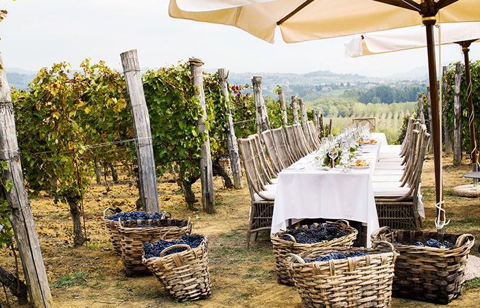 Italian Mystery Wine Box | Discover Italy's Best Wines